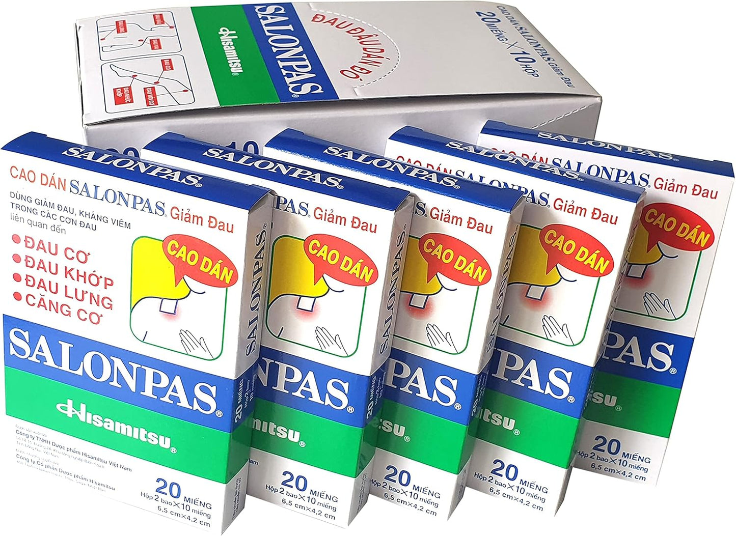 Salonpas Pain Relief Patch 20 pack