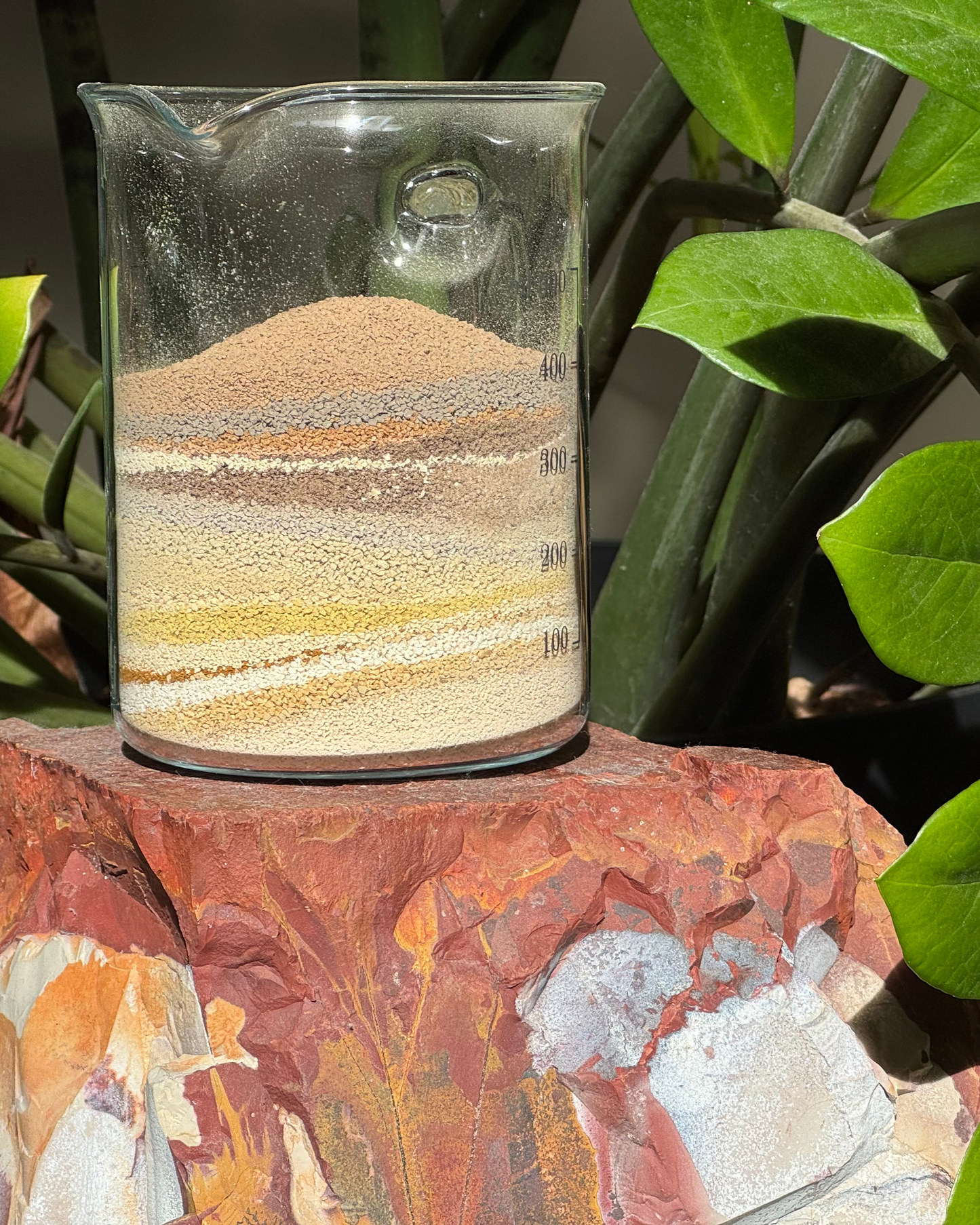 Personalised Herbal Care Plan